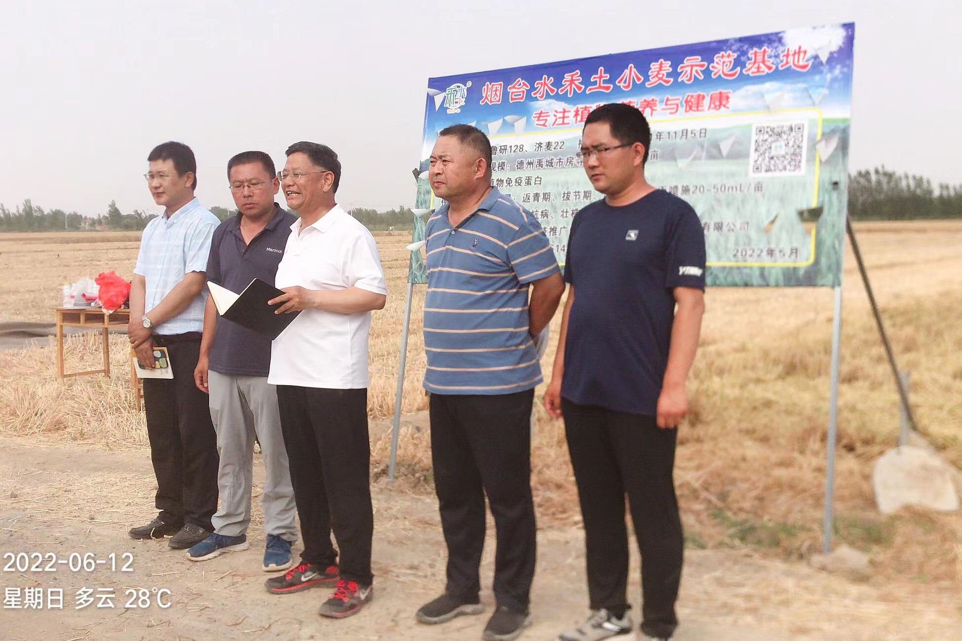 我公司德州禹城小麦示范基地实打测产 平均亩产703.66公斤