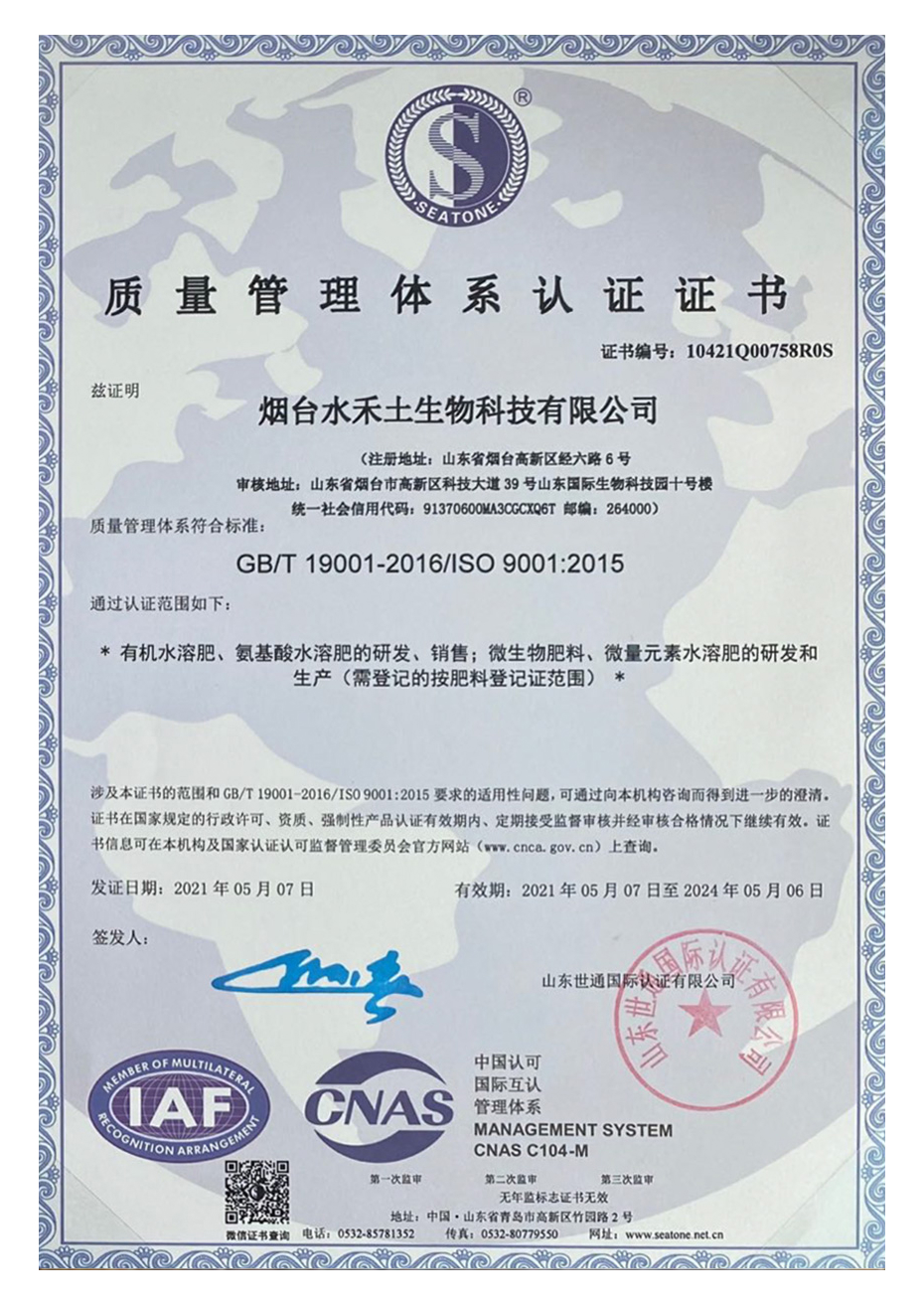 质量管理体系证书