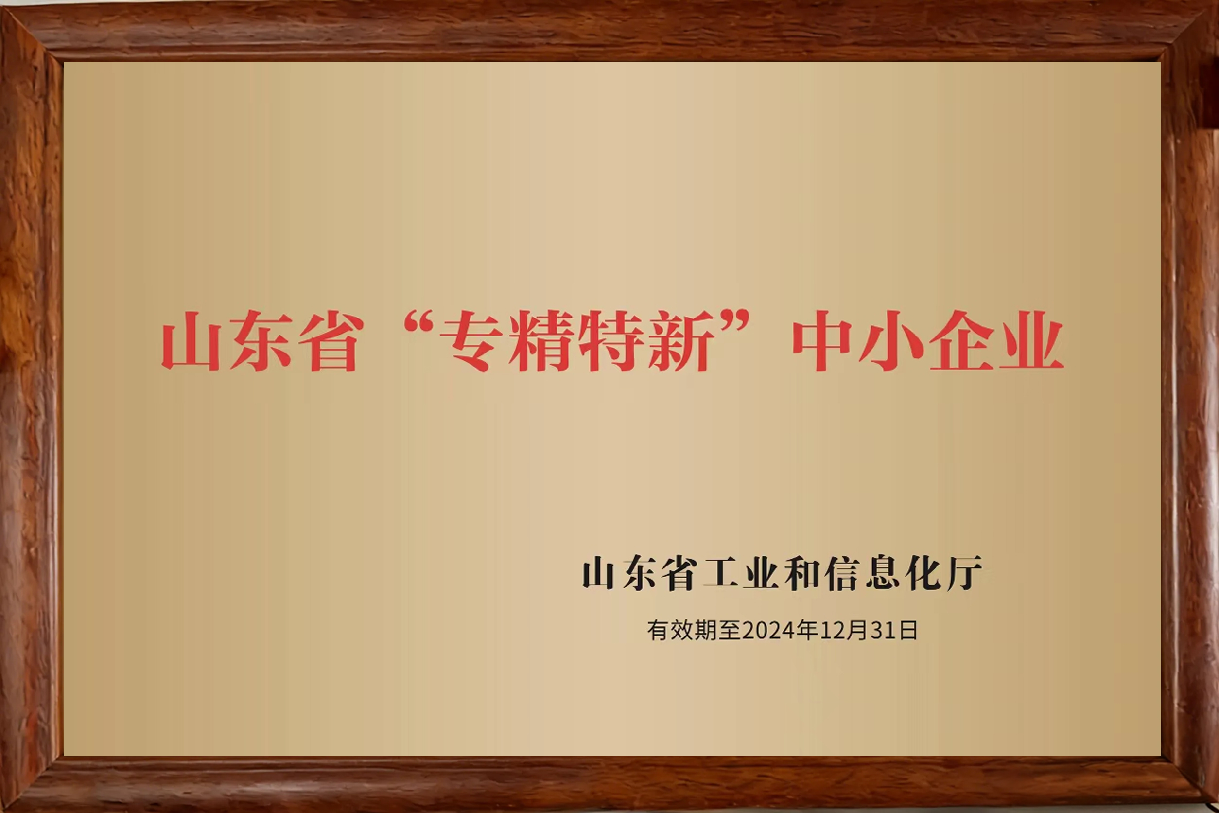 山东省专精特新