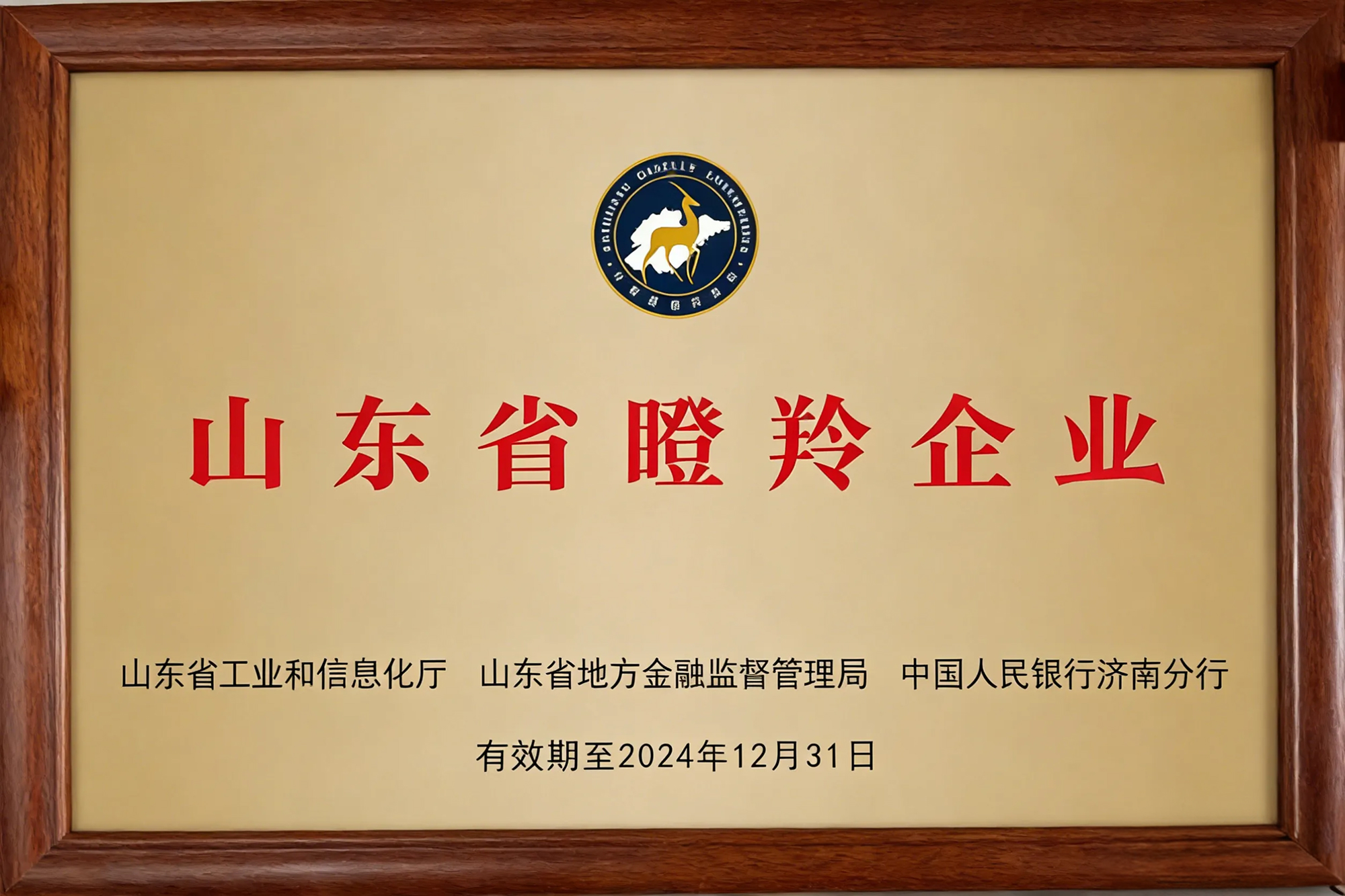 山东省瞪羚企业